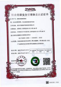 職業(yè)健康安全管理體系認證證書(shū)